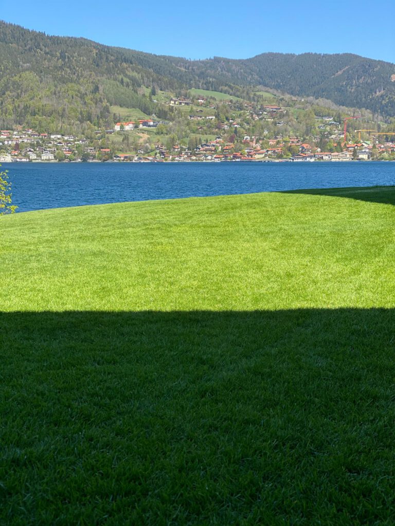 Parallex Background